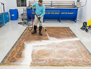 Rug Protection Services