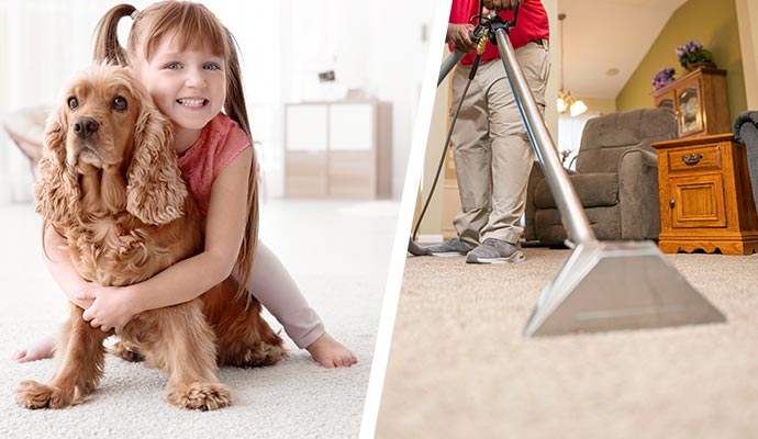 removing allergens from carpet