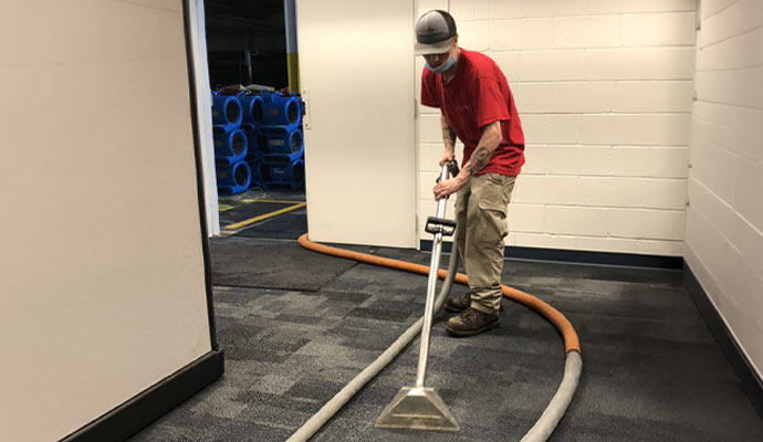 Professional worker cleaning carpet with portable extraction