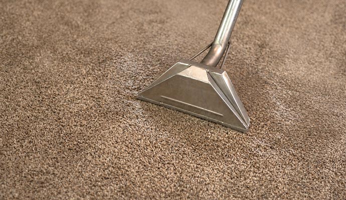Professional carpet cleaning wand cleaning carpet fibers