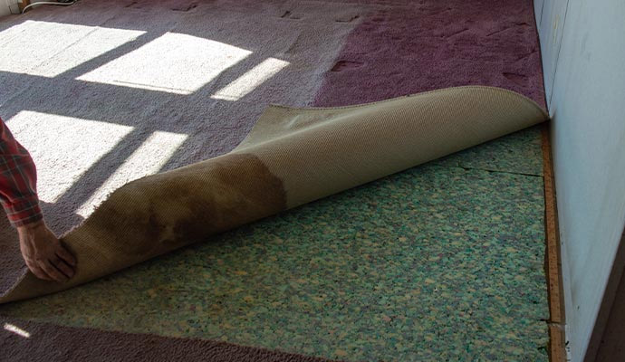 Professional carpet padding service