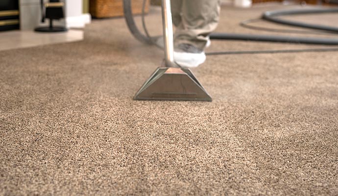 Professional removing carpet odor