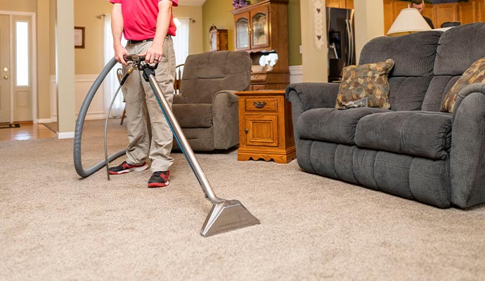 Professional steam cleaning living room