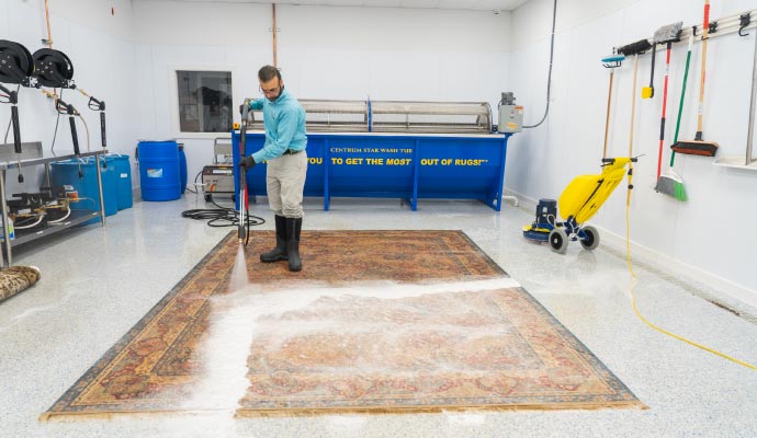 Professional worker cleaning rug