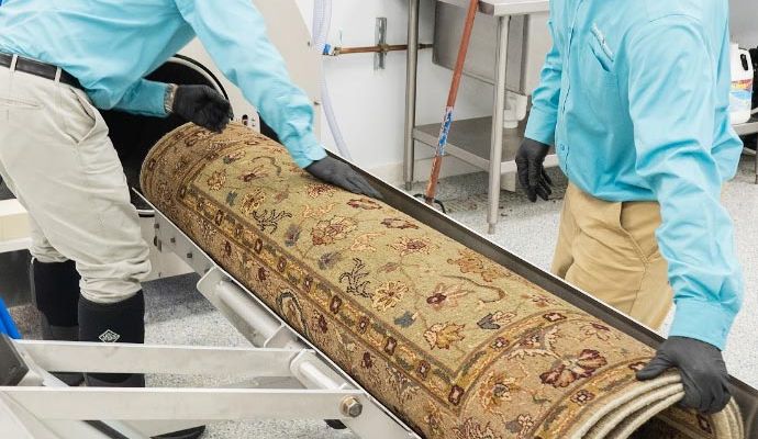Professional worker rolling rug after cleaning