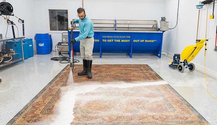 Cleaning and restoring rugs.