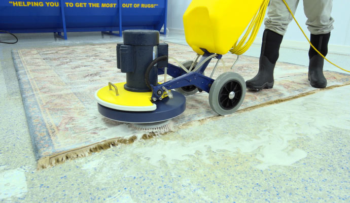 Person cleaning rug with cleaning machine 