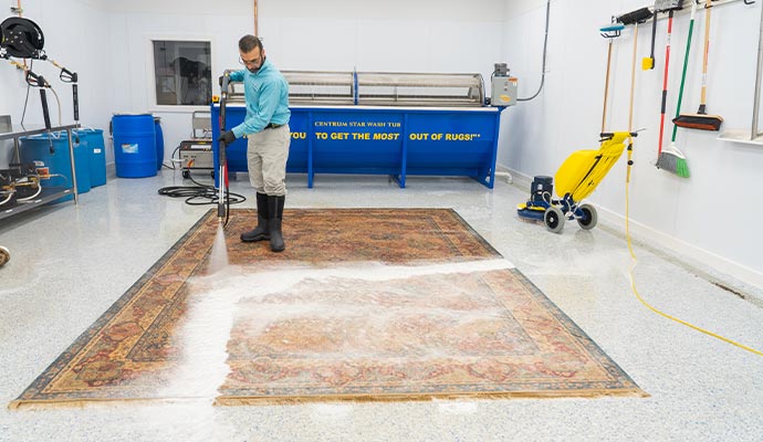 Rug cleaning service