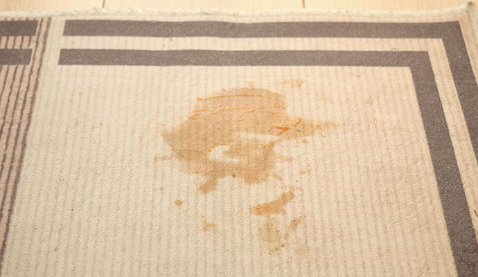 Coffee stained rug