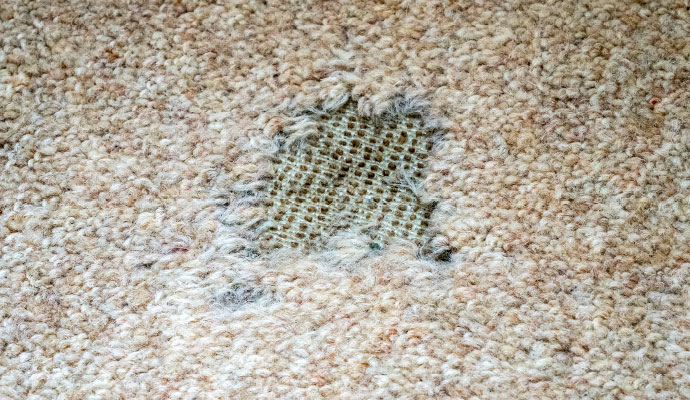 Moth damaged rug