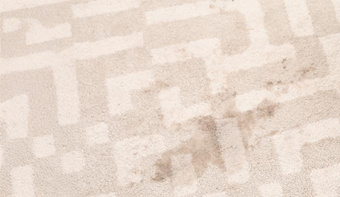 Pet stain on a beige and white patterned carpet