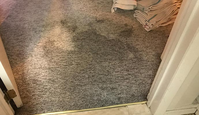 Severe carpet water damage
