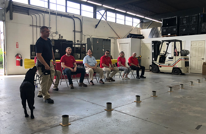 Sonnet Launch and Learn