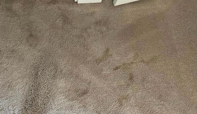 Dirty carpet