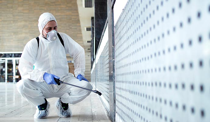 Professional disinfecting service