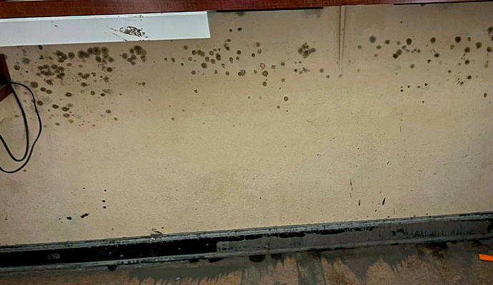 Structural mold remediation on the wall