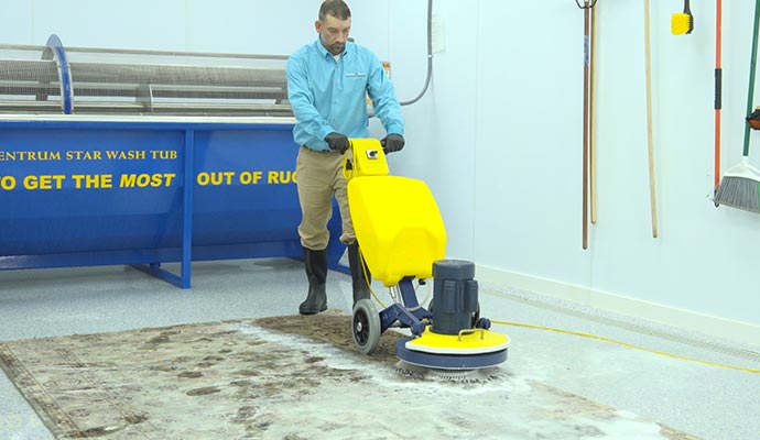 teasdale professional team