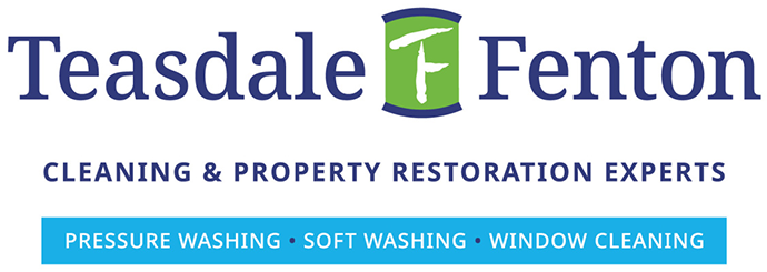 Pressure Washing Logo