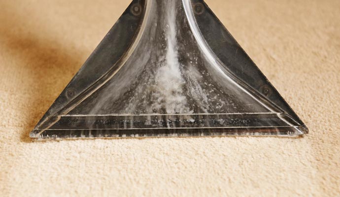 Velvet Carpet Cleaning Service in Cincinnati, OH