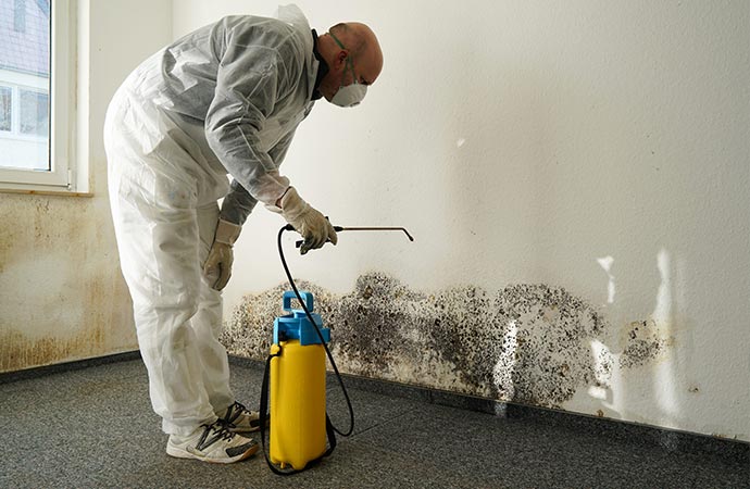 Health Difficulties of Mold