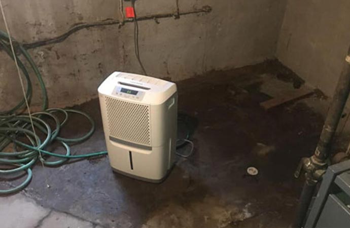 Humidity & Allergens from Water Damage in Cincinnati, Ohio