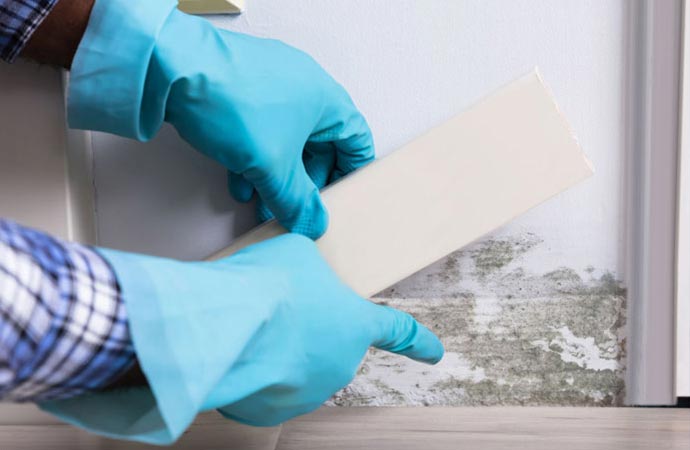 Residential & Commercial Mold Testing