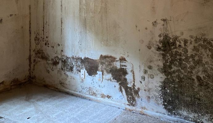 a room wall with significant mold and moisture damage