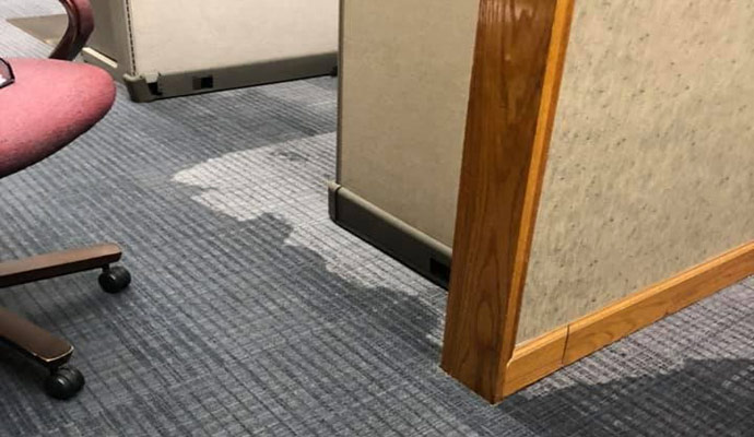 Water-Damaged Carpet Odor Removal in Cincinnati & Dayton