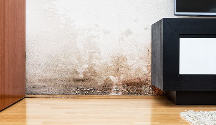 Water, Fire & Mold Damage Restoration in Cincinnati