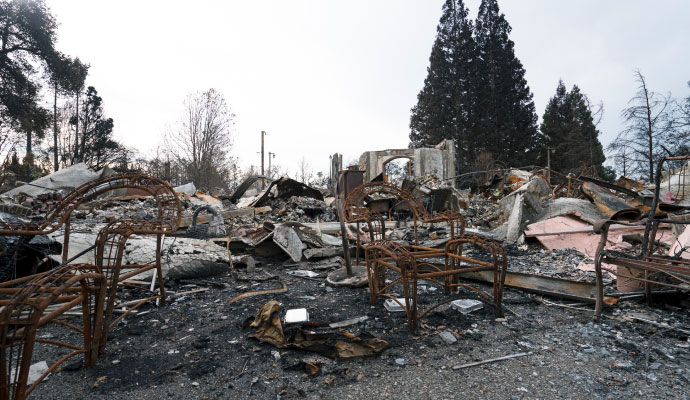 Wild fire damage
