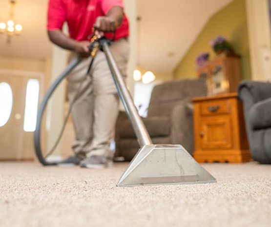 An expert cleaning carpet