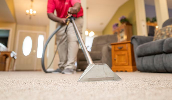 Worker emoving allergens from carpet