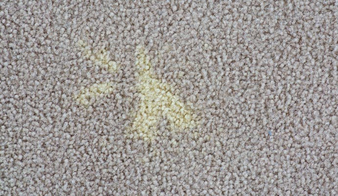 Yellow stain on carpet